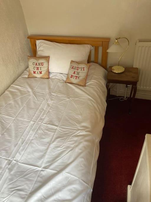 Lovely Peaceful 2 Bed Cottage Llandderfel ภายนอก รูปภาพ
