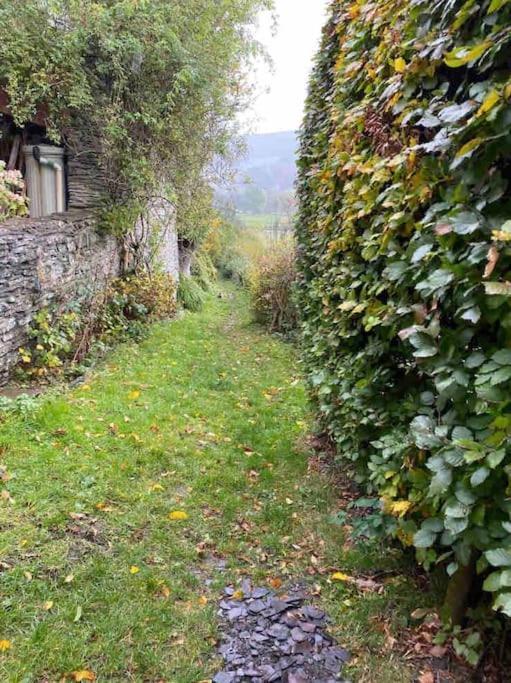 Lovely Peaceful 2 Bed Cottage Llandderfel ภายนอก รูปภาพ
